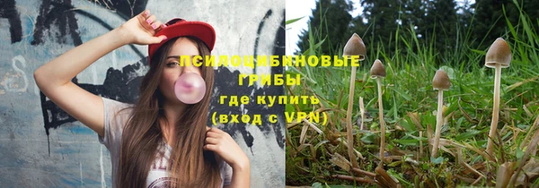 мяу мяу мука Снежногорск