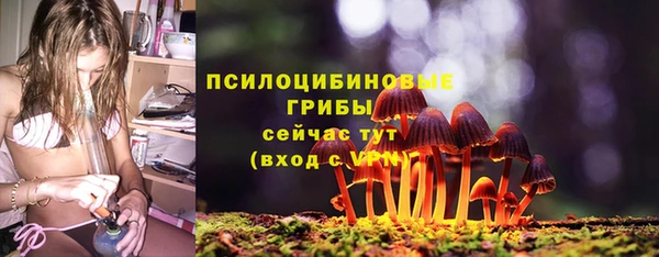 амф Алексин