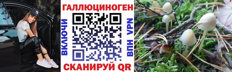 Псилоцибиновые грибы ЛСД  Новоаннинский 